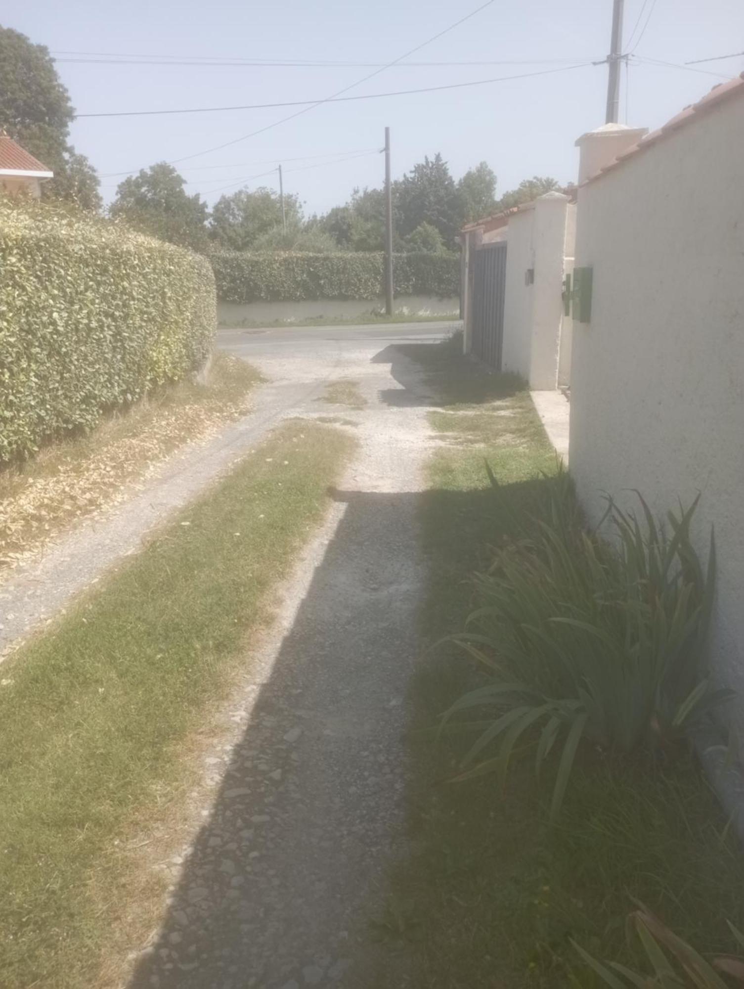 Hotel Chre Cathy Et Jean Loup Port-des-Barques Exterior foto